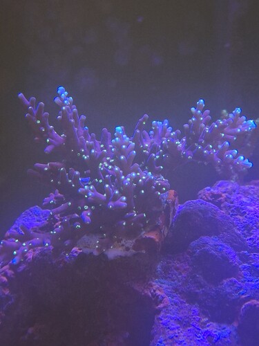 20251019_203049.jpg