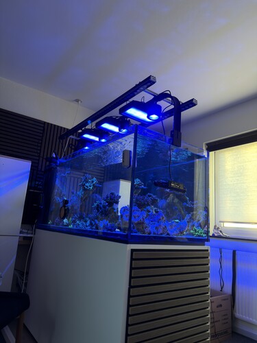 48mp picture test