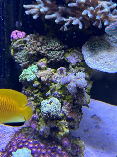 IMG_0453.jpeg