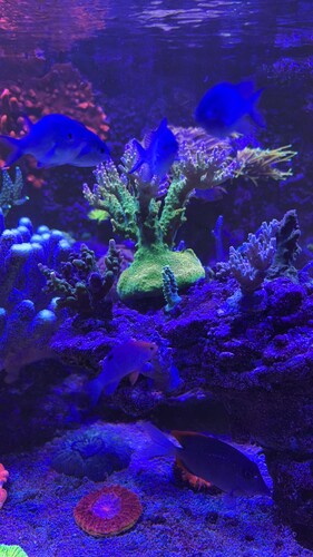 IMG_0069.jpeg