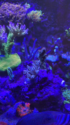 IMG_0070.jpeg