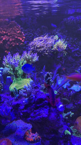 IMG_0071.jpeg