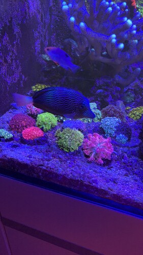 IMG_0074.jpeg