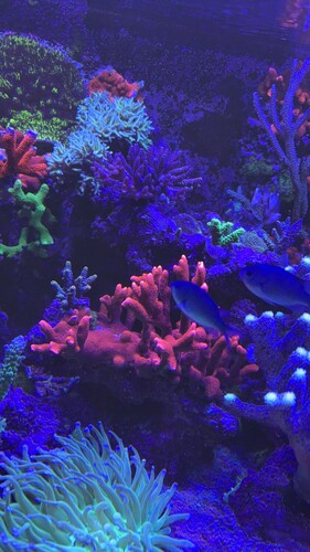 IMG_0075.jpeg