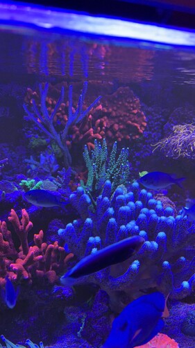IMG_0076.jpeg