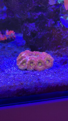 IMG_0082.jpeg