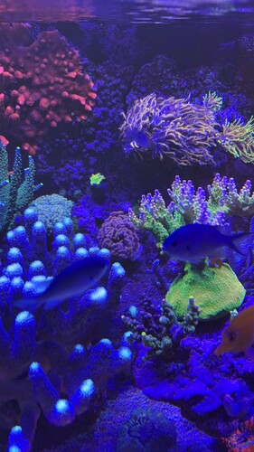IMG_0087.jpeg