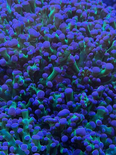 20251209_131645.jpg