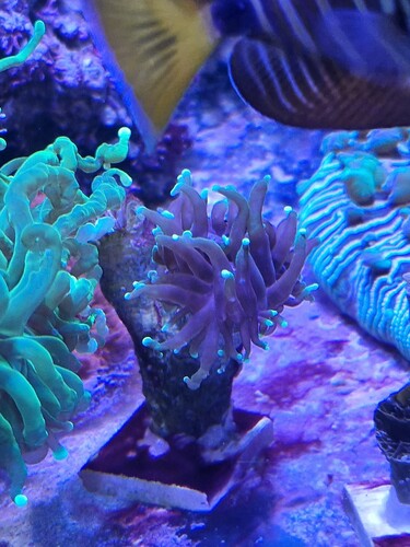 20251209_131657.jpg