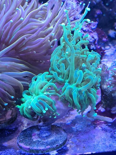 20251209_131701.jpg