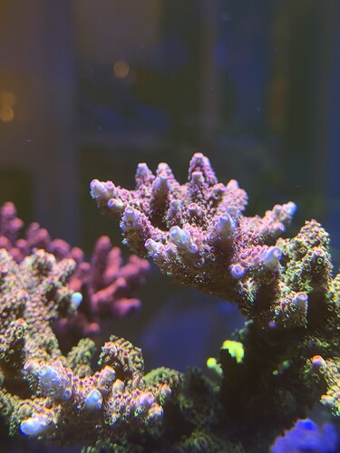 IMG_0325.jpeg