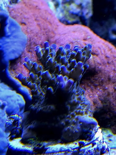 20251213_201239.jpg