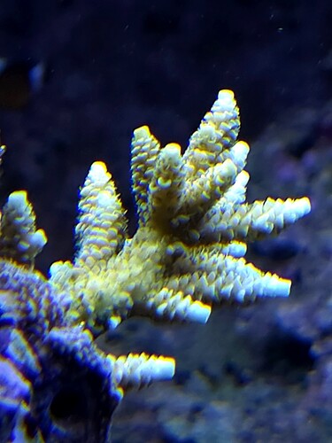 20251213_201402.jpg
