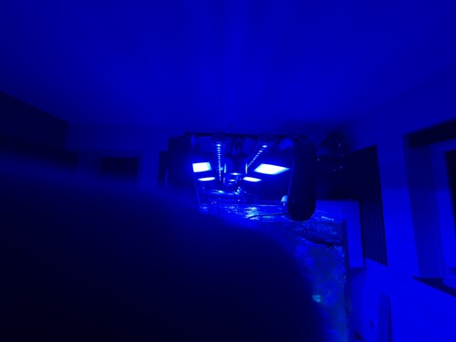 Light 02
