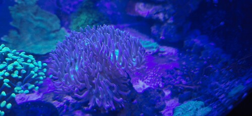 20251222_153642.jpg