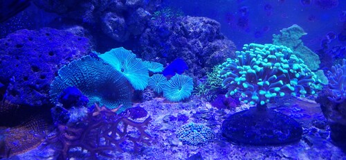20251222_153306.jpg