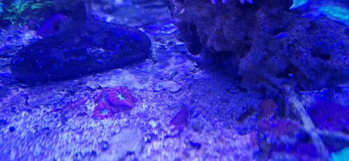 20251222_153301.jpg
