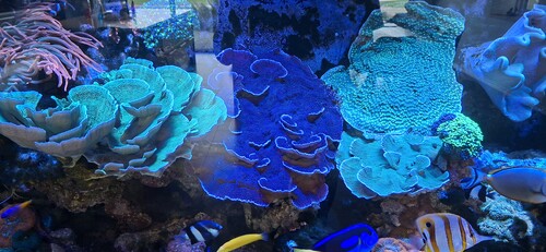 20251222_112320.jpg
