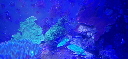 20251222_153253.jpg