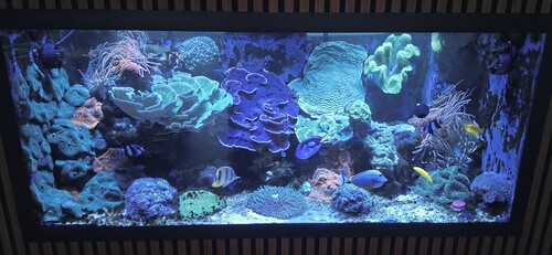20251222_152521.jpg