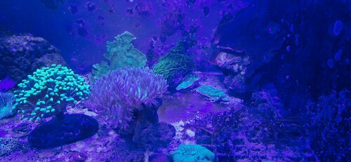 20251222_153727.jpg