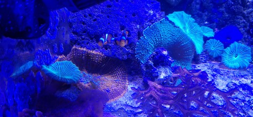 20251222_153246.jpg