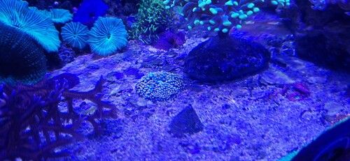 20251222_153238.jpg