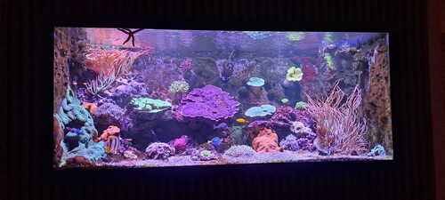 20250117_174342.jpg