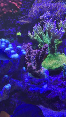 IMG_0158.jpeg