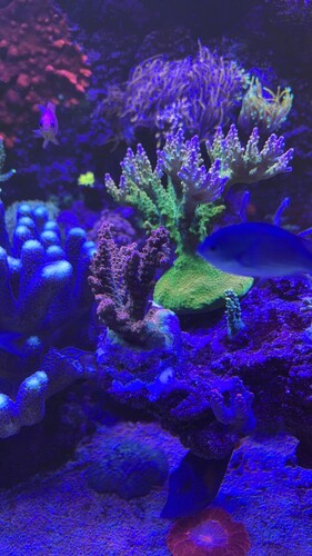 IMG_0157.jpeg