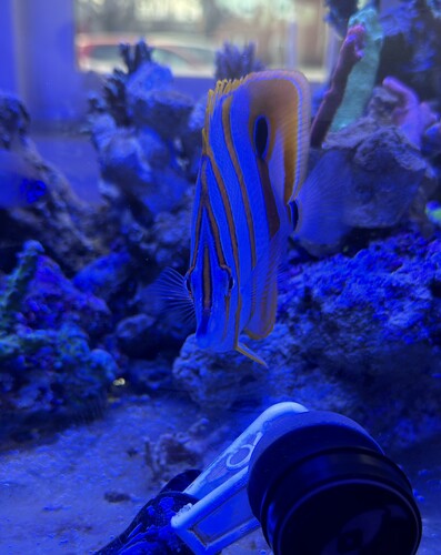 IMG_0425.jpeg