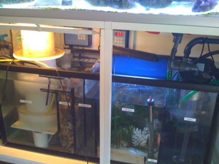 sump