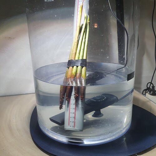 20251228_061809.jpg