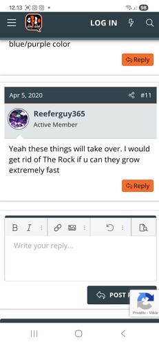 Screenshot_20251230_121328_Chrome.jpg
