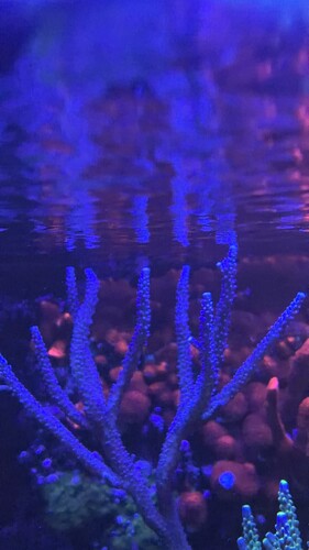 IMG_0197.jpeg