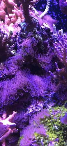 IMG_0198.png