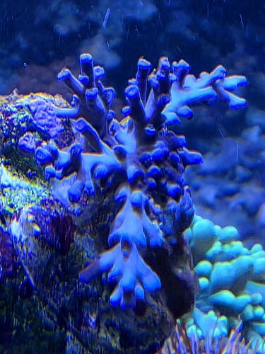 20260104_171758.jpg