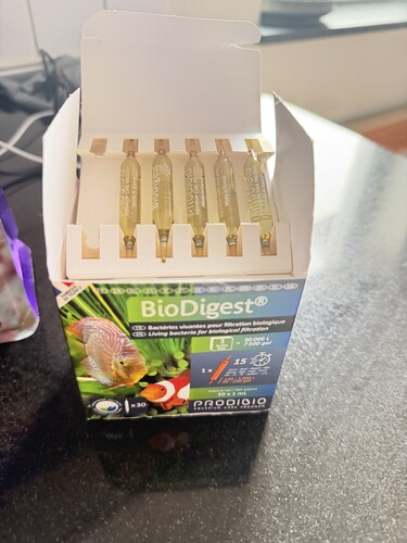 Prodibio