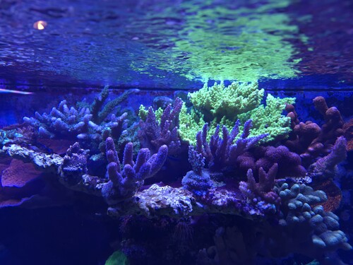 20260105_151244.jpg