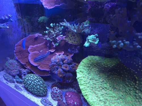 20260105_151253.jpg