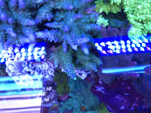 20260105_151521.jpg