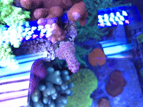 20260105_151525.jpg