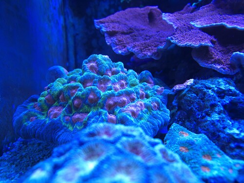 20260105_193402.jpg