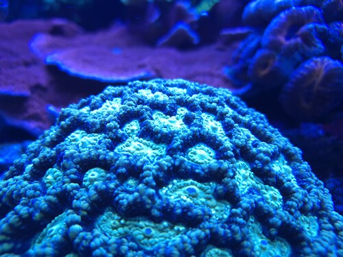 20260105_193407.jpg