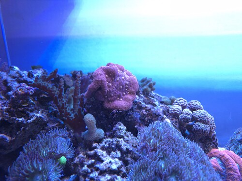 20260106_144608.jpg