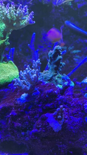 IMG_0409.jpeg