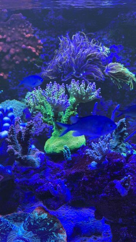 IMG_0410.jpeg