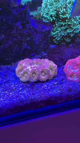 IMG_0415.jpeg