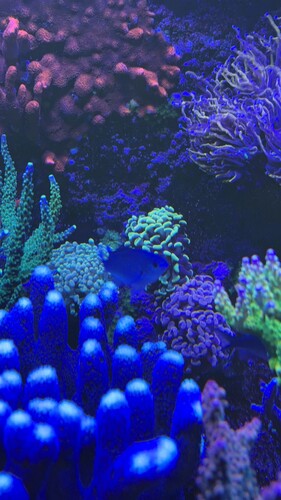 IMG_0416.jpeg