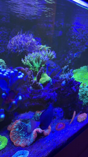 IMG_0419.jpeg